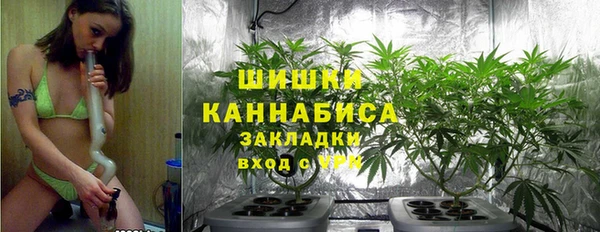 бутират Алзамай