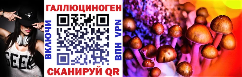 Псилоцибиновые грибы Psilocybe  shop Telegram  Андреаполь  mega онион 